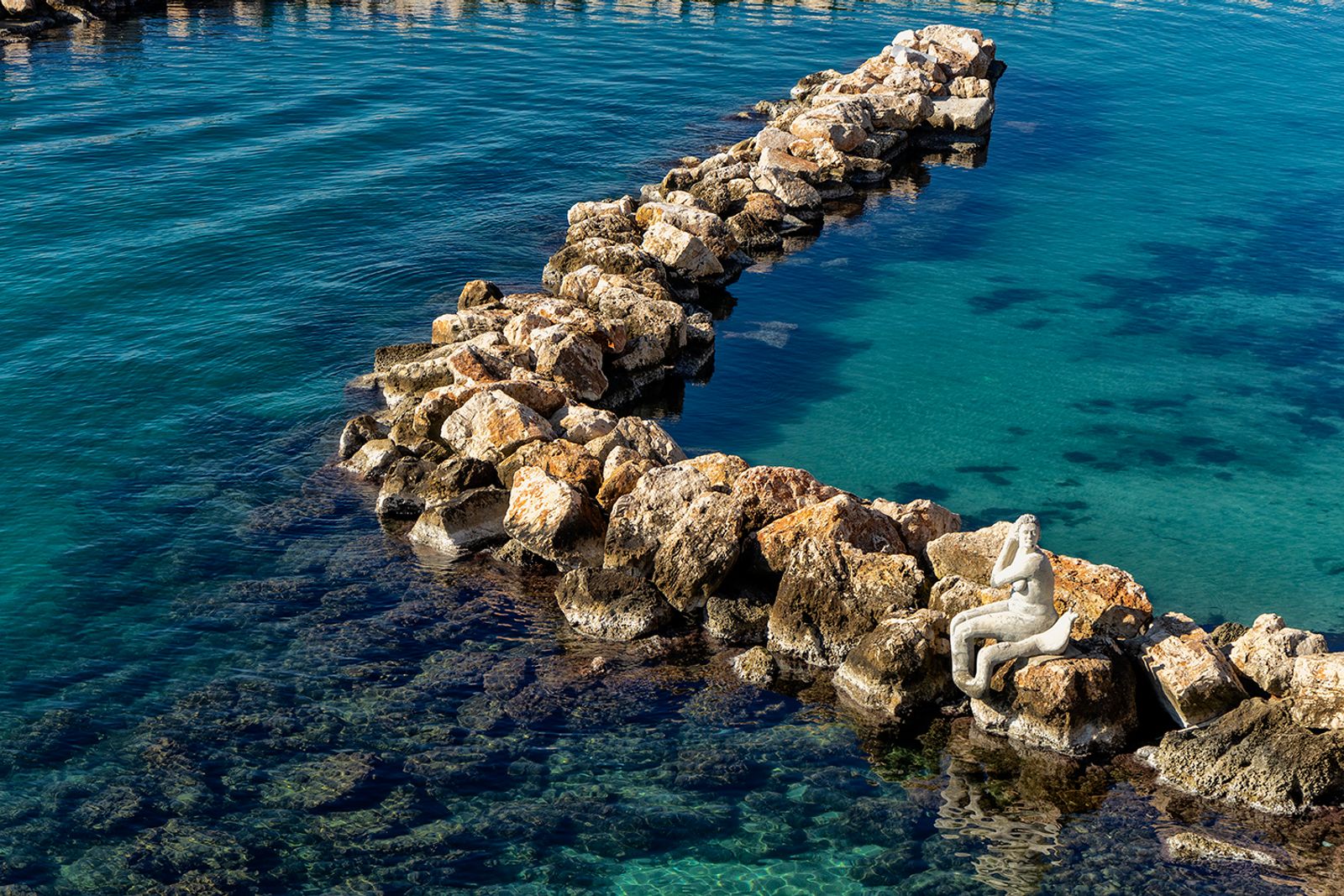 SKUMA La leggenda narra che quando Taranto era la capitale della Magna Grecia, ed essendo bagnata da due mari, divenne…
