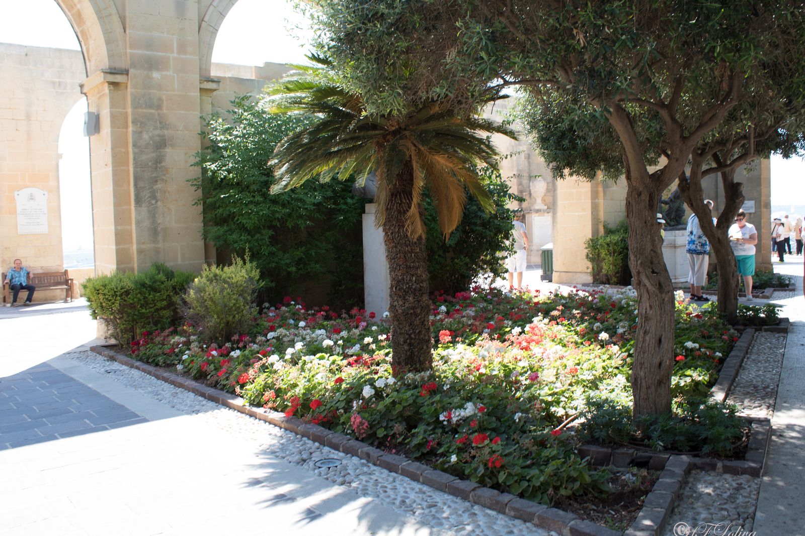 MALTA — fotografia 7 di Francesco Loliva