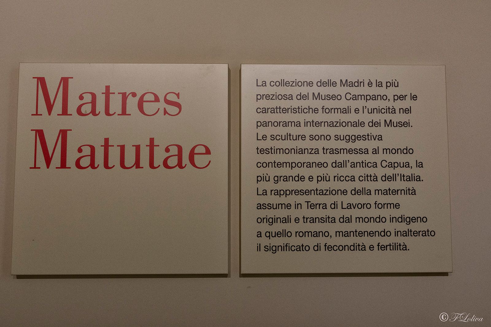 A sinistra del cortile (dalla V alla IX sala) é ospitata la collezione delle "Madri", la più singolare e preziosa del…