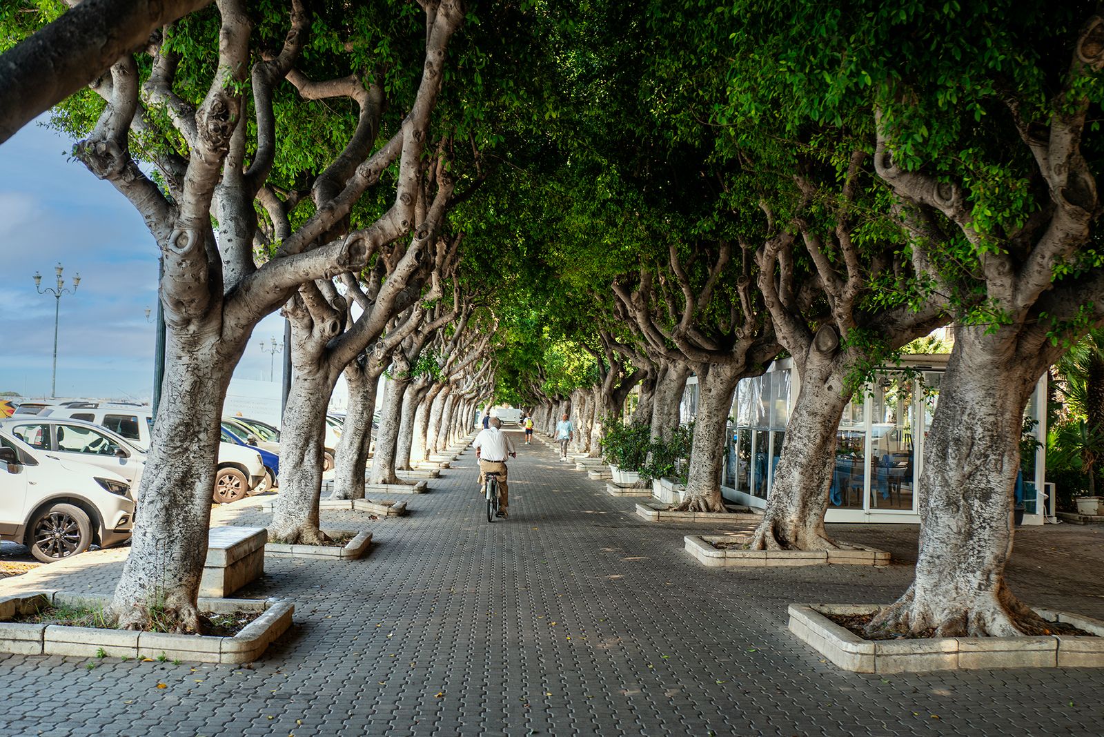TRAPANI
