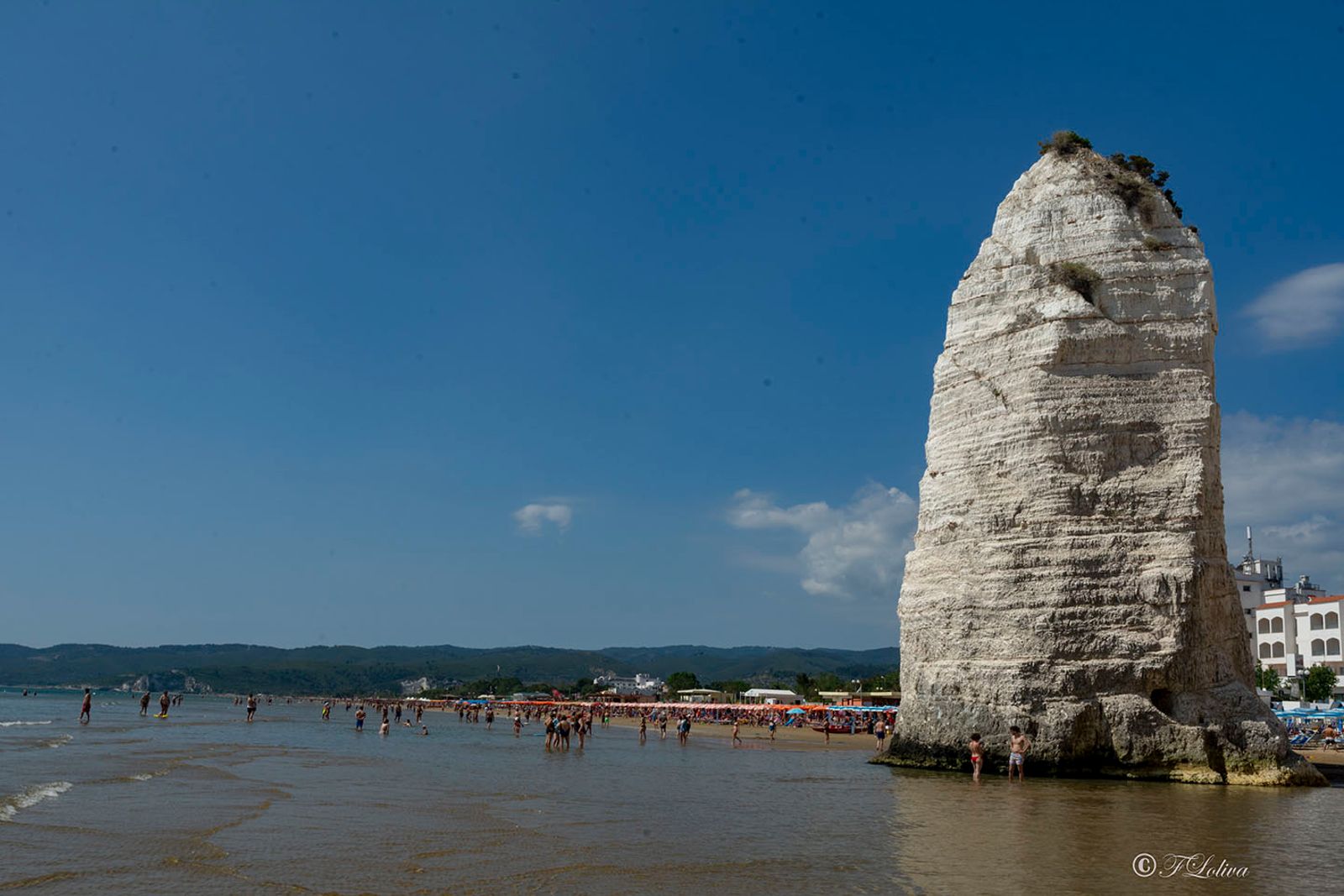 PIZZOMUNNO Il Pizzomunno è un imponente monolite in pietra calcarea alto 25 metri. E’ situato all’inizio della spiaggia…
