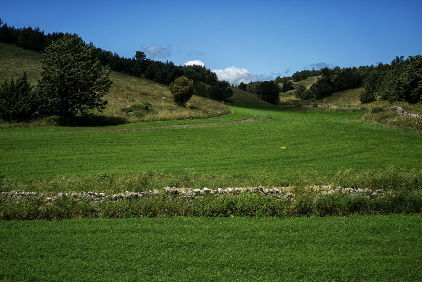 ALTA MURGIA PRIMAVERA 2026 — fotografia 10 di Francesco Loliva