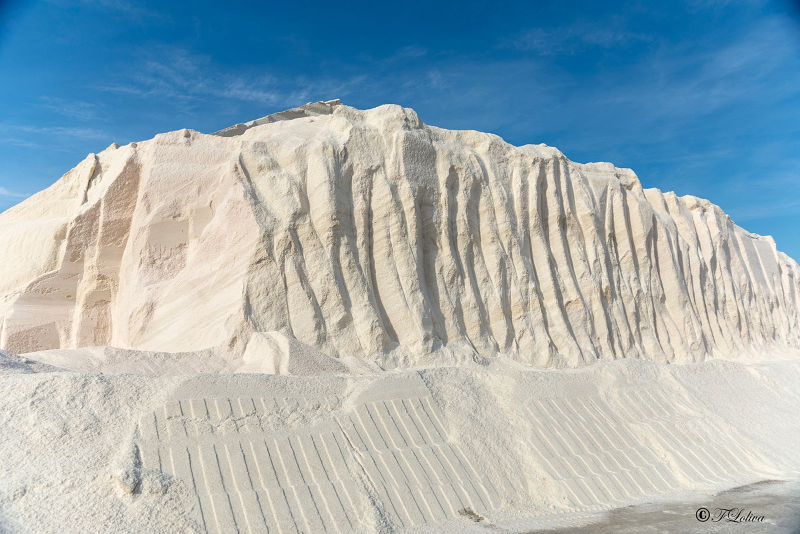 MARGHERITA DI SAVOIA - LE SALINE — fotografia 17 di Francesco Loliva