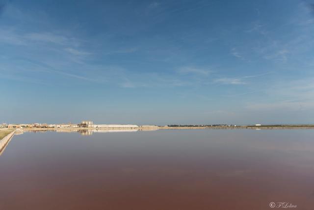 MARGHERITA DI SAVOIA - LE SALINE