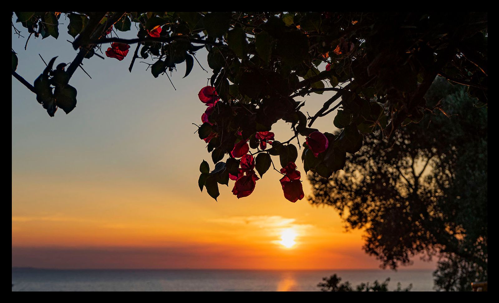 TRAMONTO ISCHITANO#4
