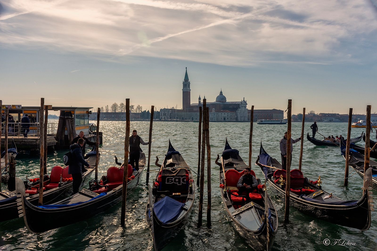 VENEZIA 2019 — fotografia 12 di Francesco Loliva