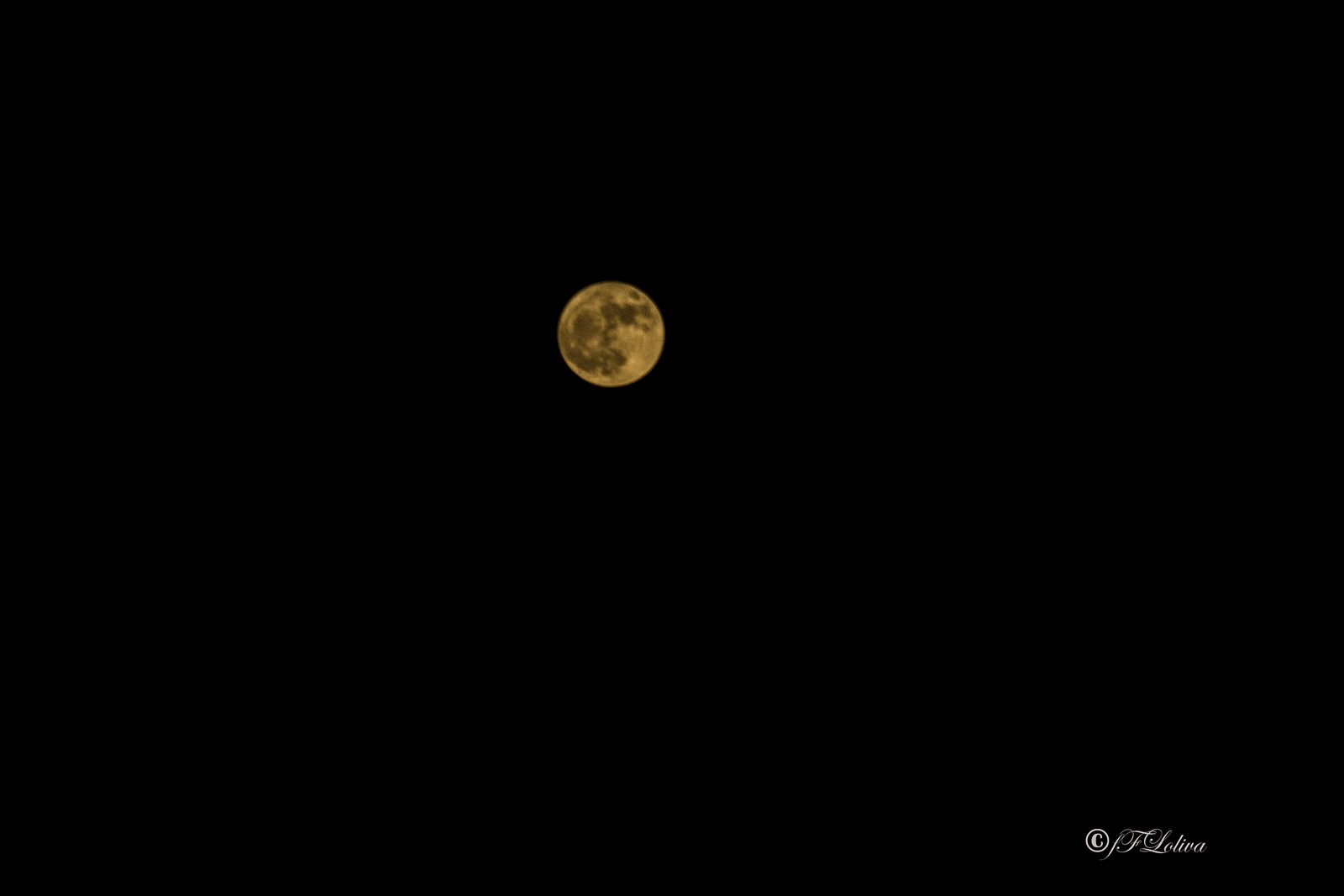 Super luna — fotografia 8 di Francesco Loliva