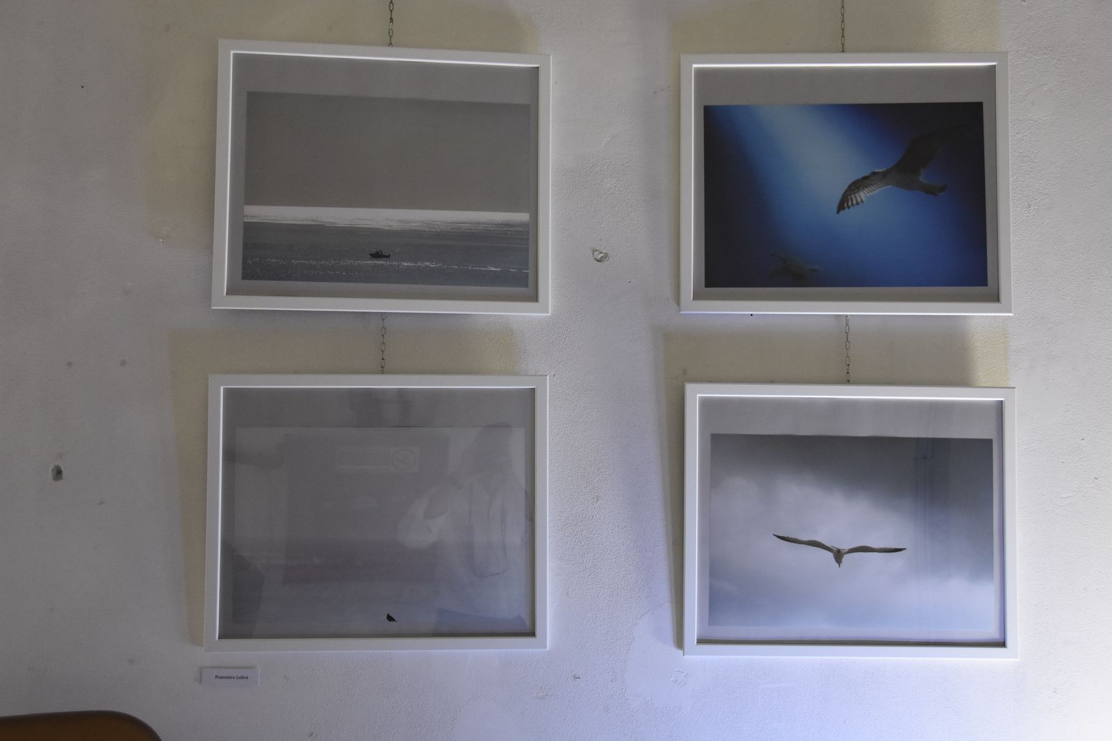 PREMIO ART -Caffè Letterario ROMA - luglio 2017 — fotografia 10 di Francesco Loliva