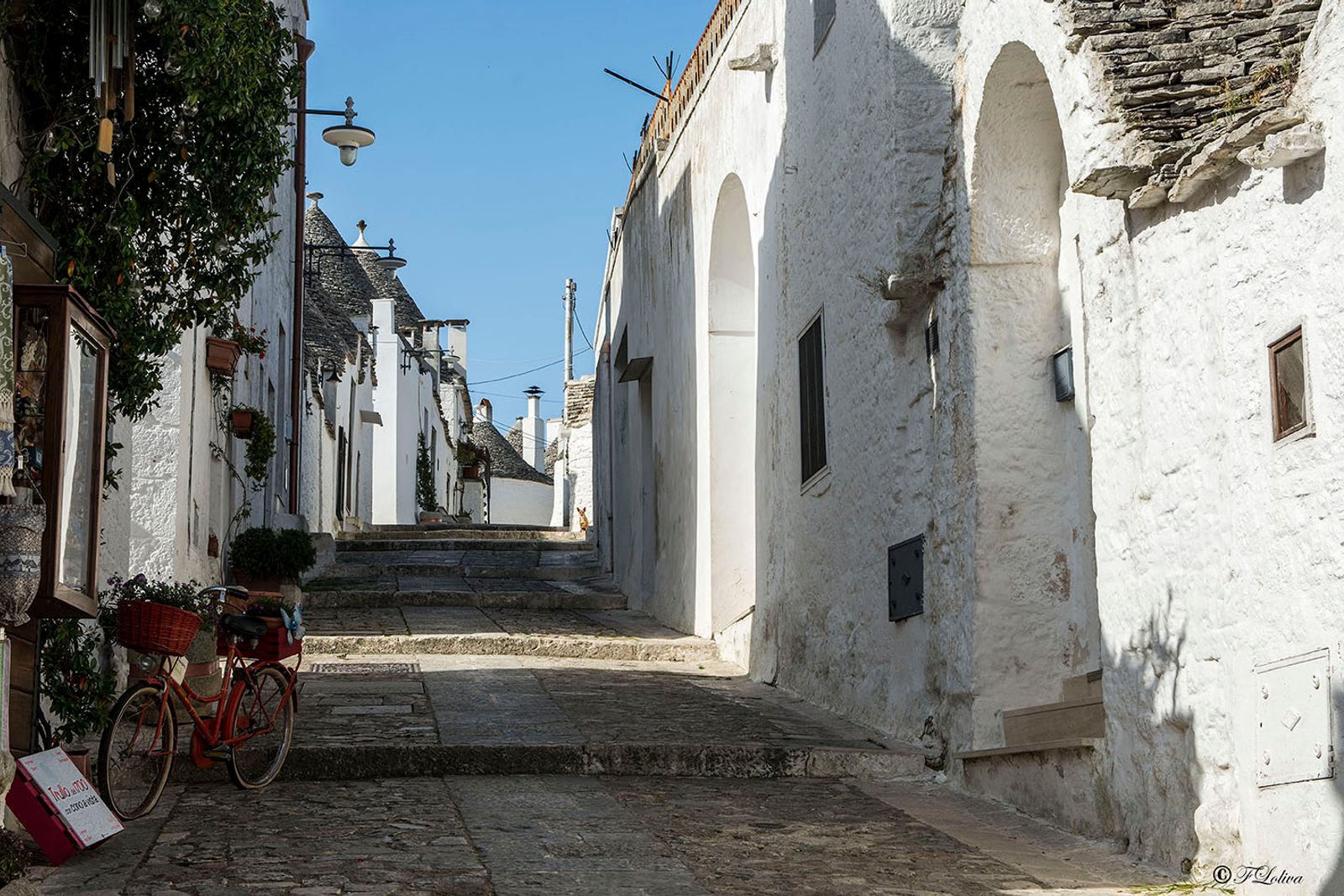 ALBEROBELLO — fotografia 8 di Francesco Loliva
