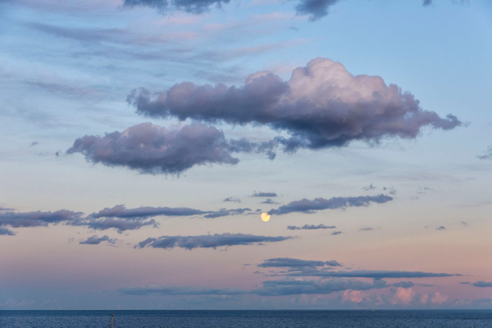 Full moon — fotografia 10 di Francesco Loliva