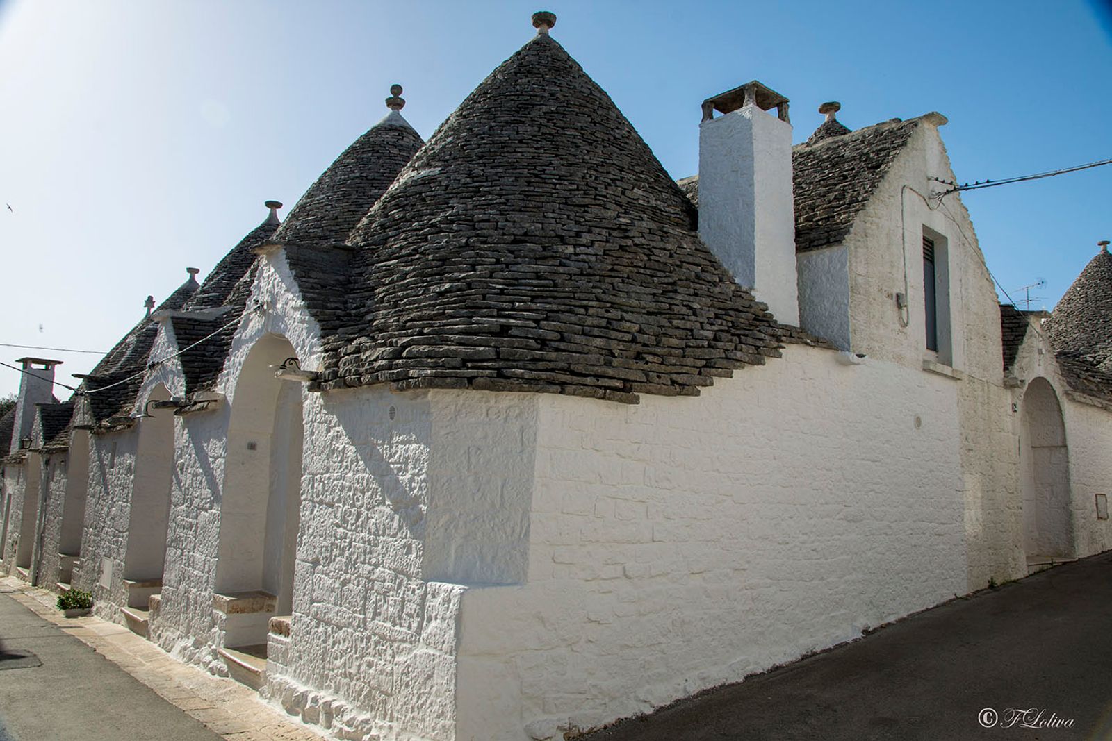 ALBEROBELLO — fotografia 6 di Francesco Loliva
