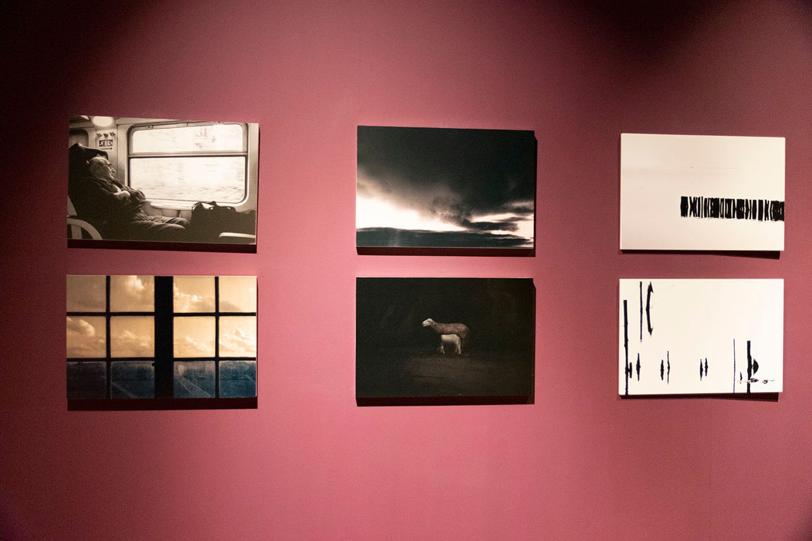 L'INFINITO TRA INCANTO E SFREGIO - 30/11/2019 RECANATI — fotografia 15 di Francesco Loliva