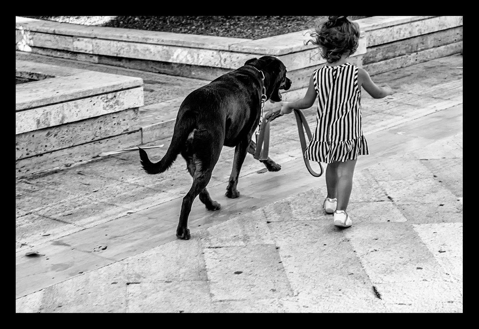 MI PORTI TU #1