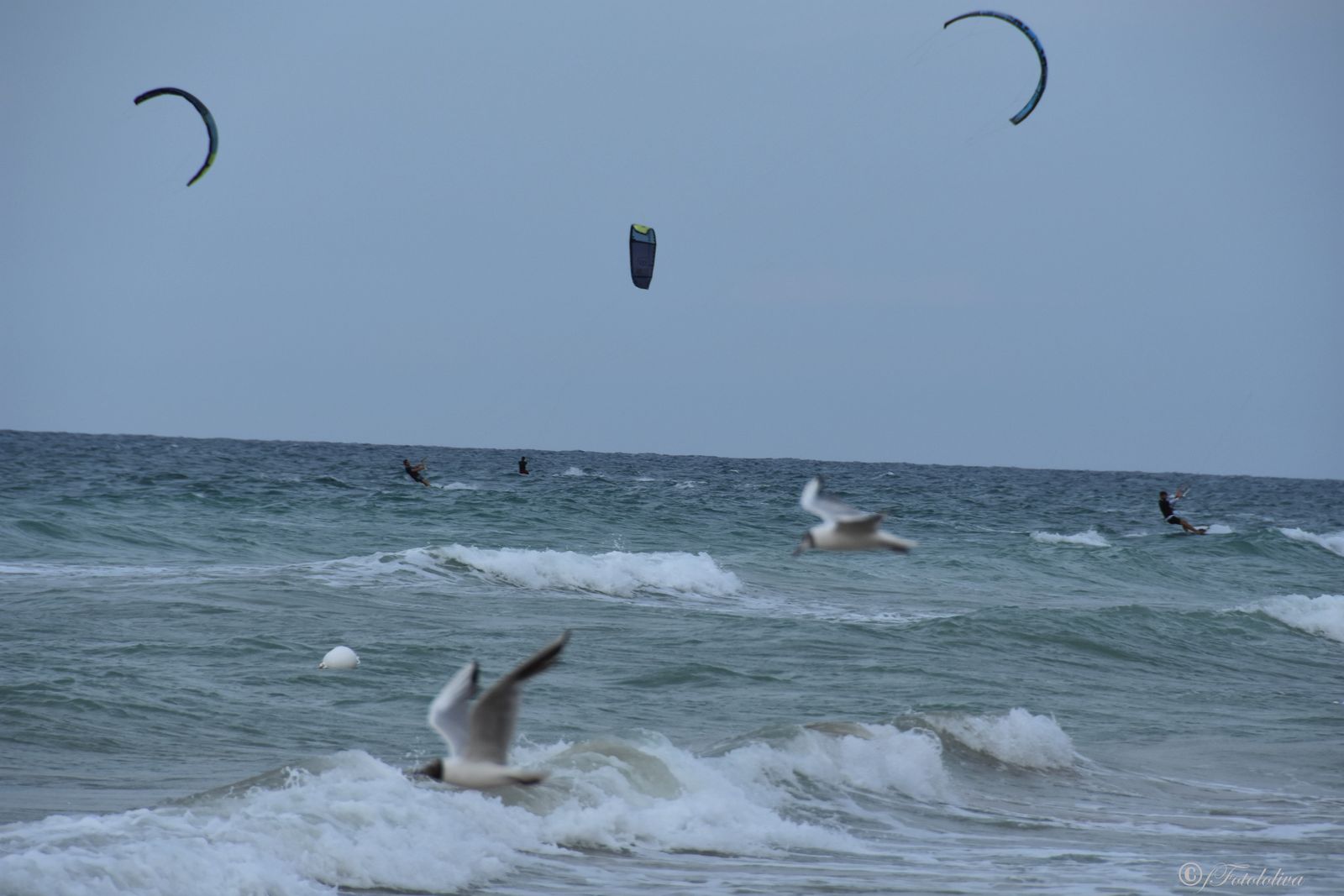 Kitesurf — fotografia 3 di Francesco Loliva