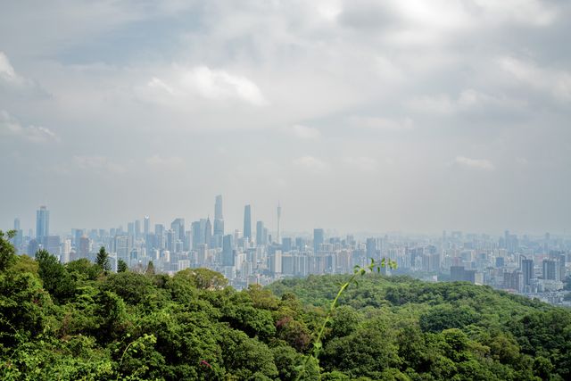 Cina 2026: Guangzhou / Canton (5 giugno)