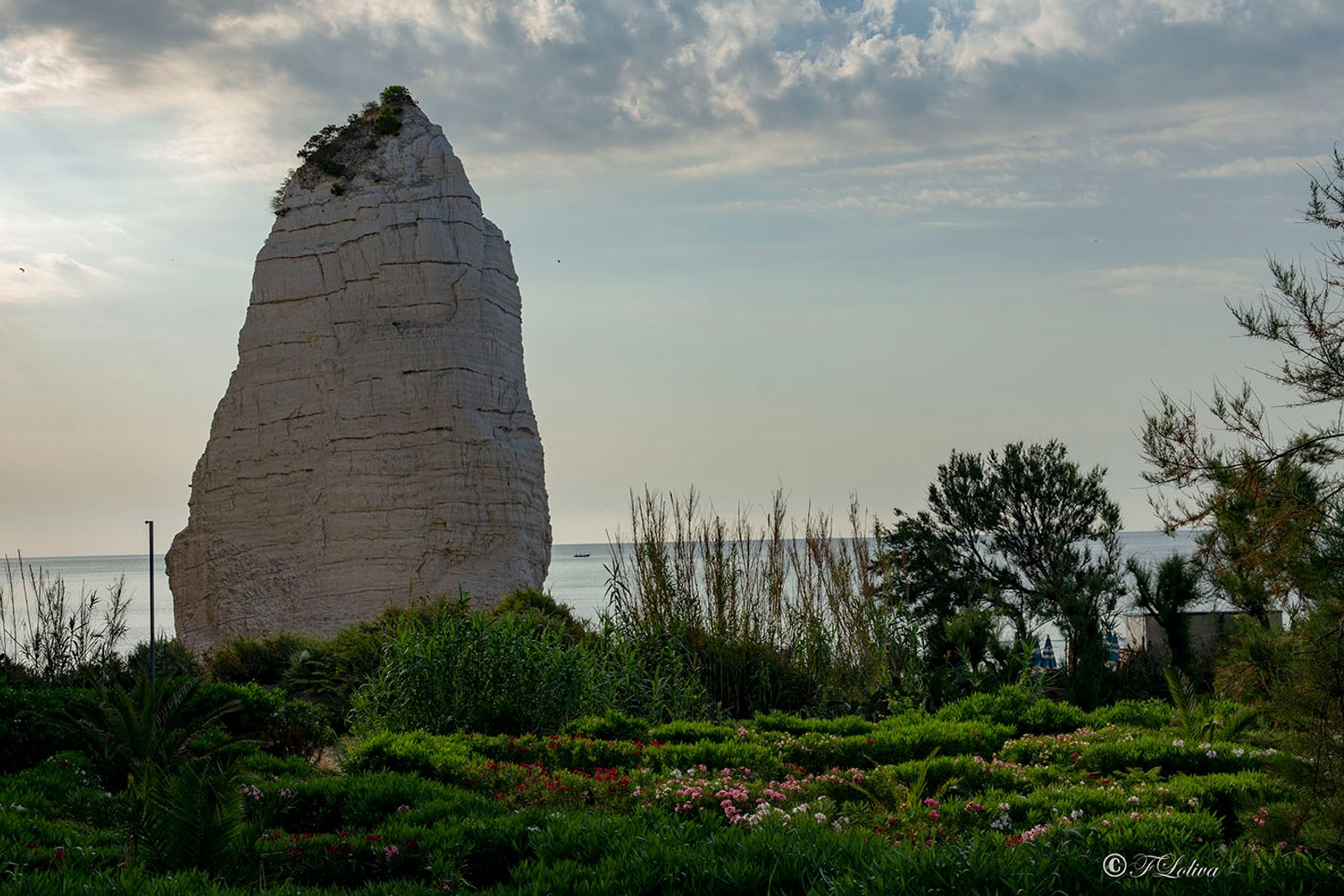 VIESTE - PESCHICI — fotografia 7 di Francesco Loliva