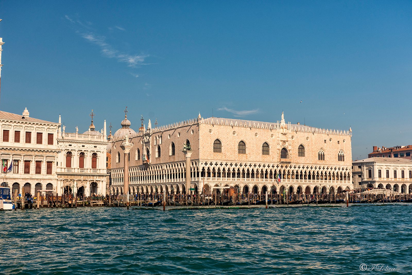 VENEZIA 2019 — fotografia 23 di Francesco Loliva