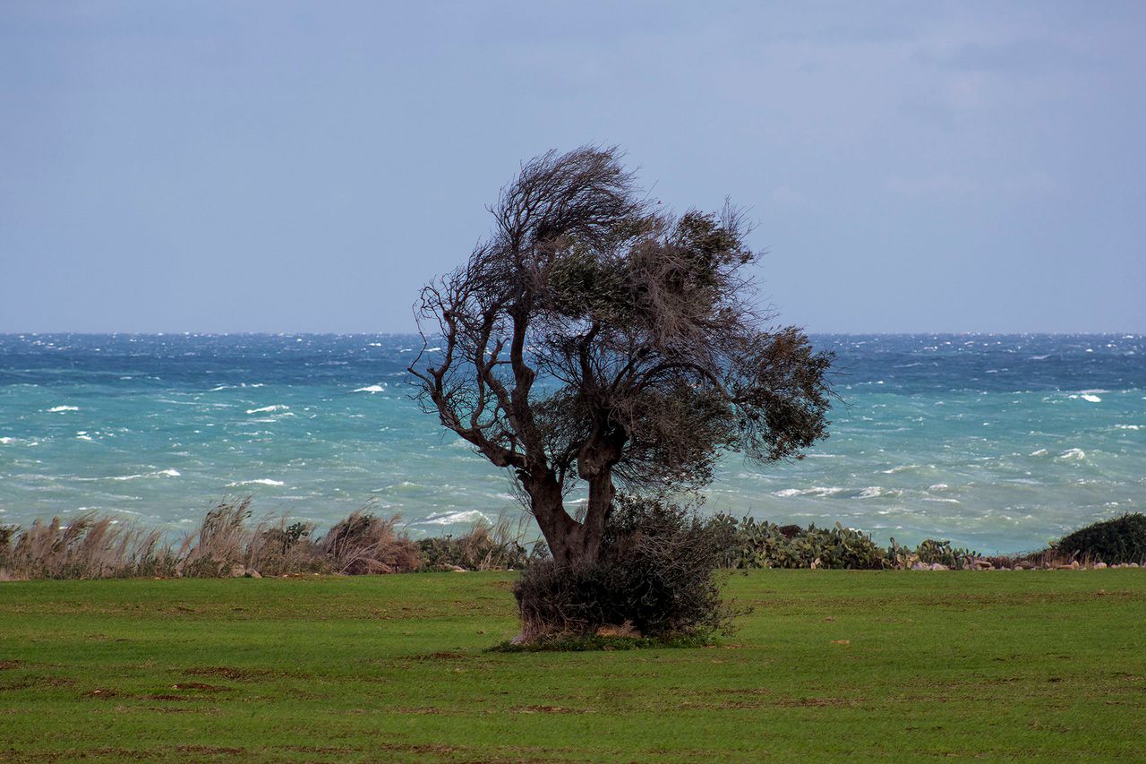 Voglia di mare