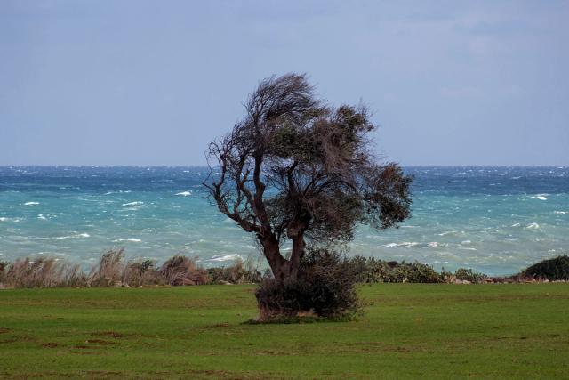 Voglia di mare