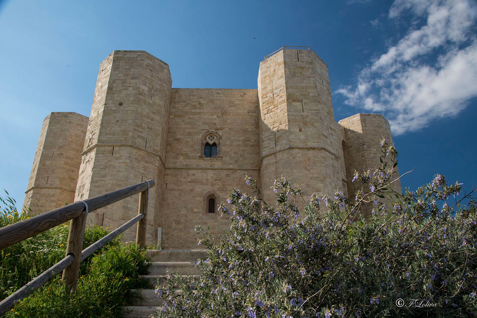 PUGLIA IMPERIALE — fotografia 7 di Francesco Loliva