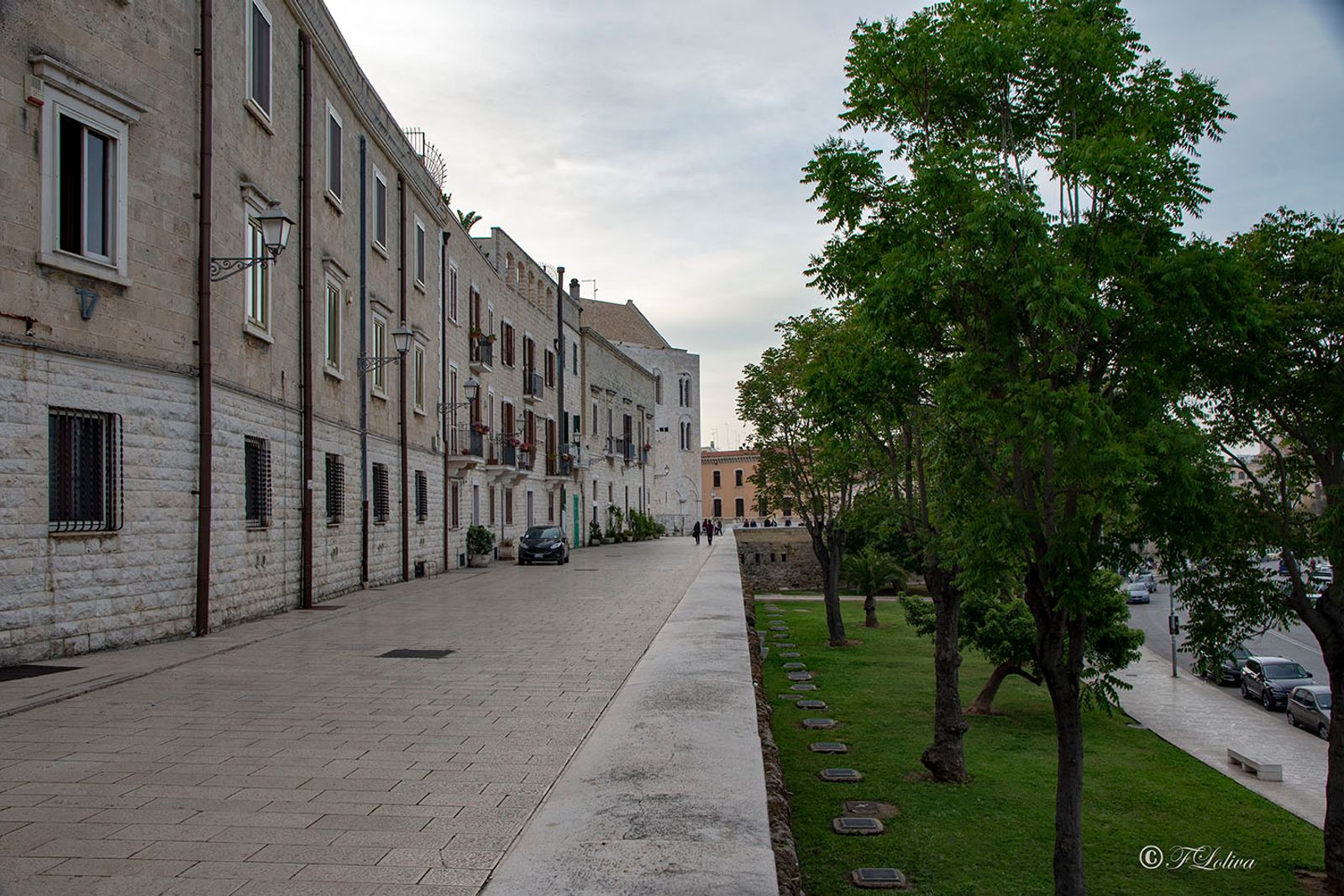 BARI — fotografia 12 di Francesco Loliva