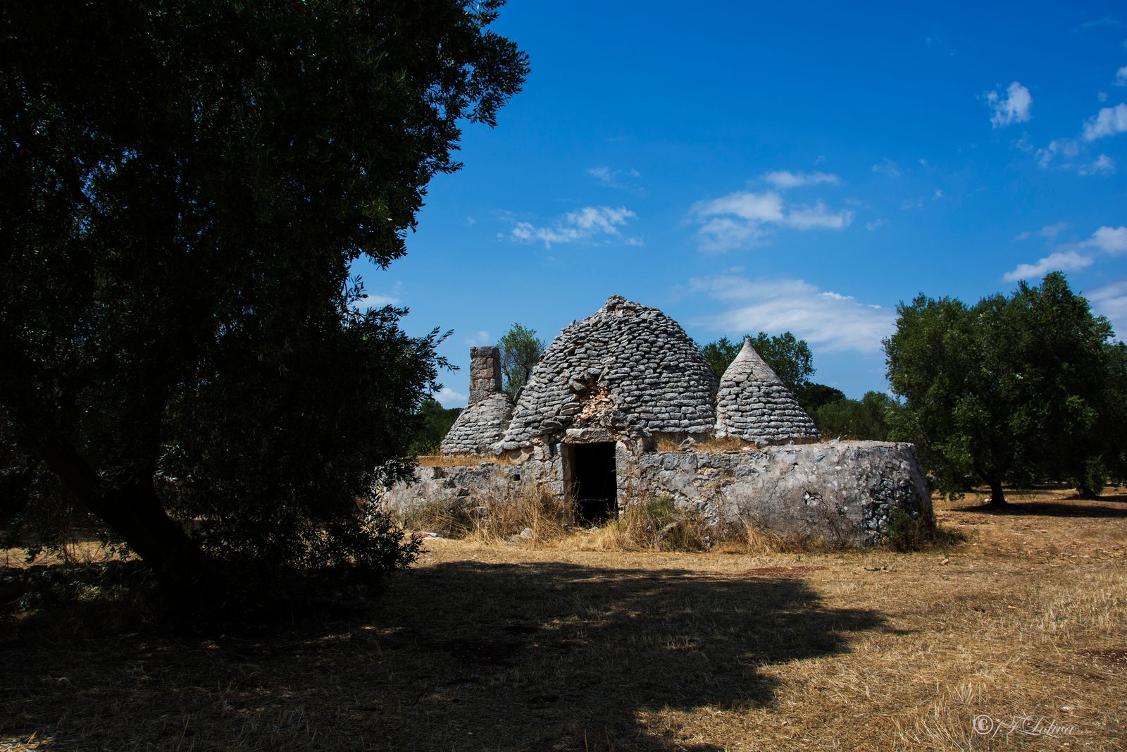 Il Trullo nasce come una tipica costruzione contadina in cui, a prescindere dalle diverse teorie sulle motivazioni…