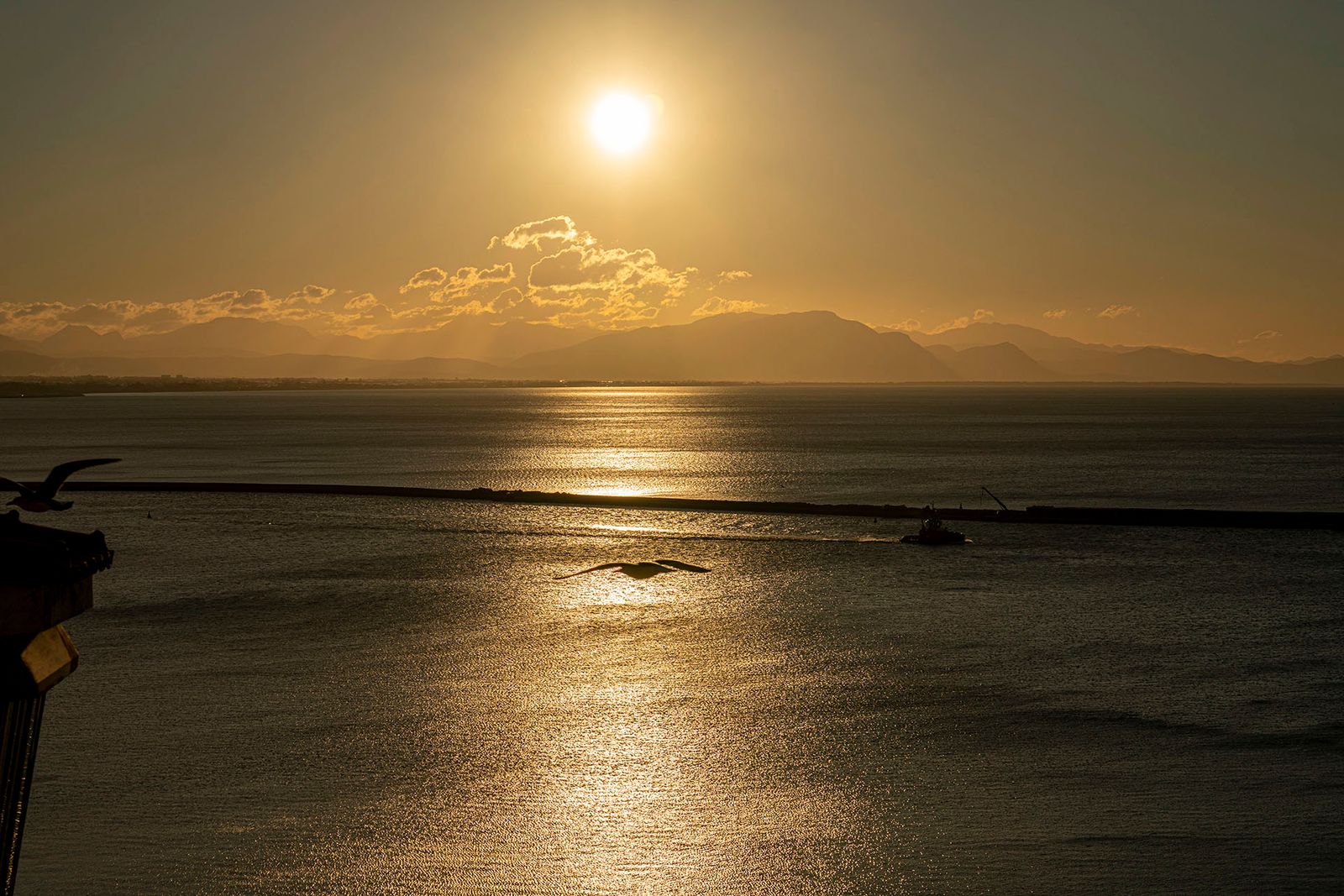 ALBA VIETRI