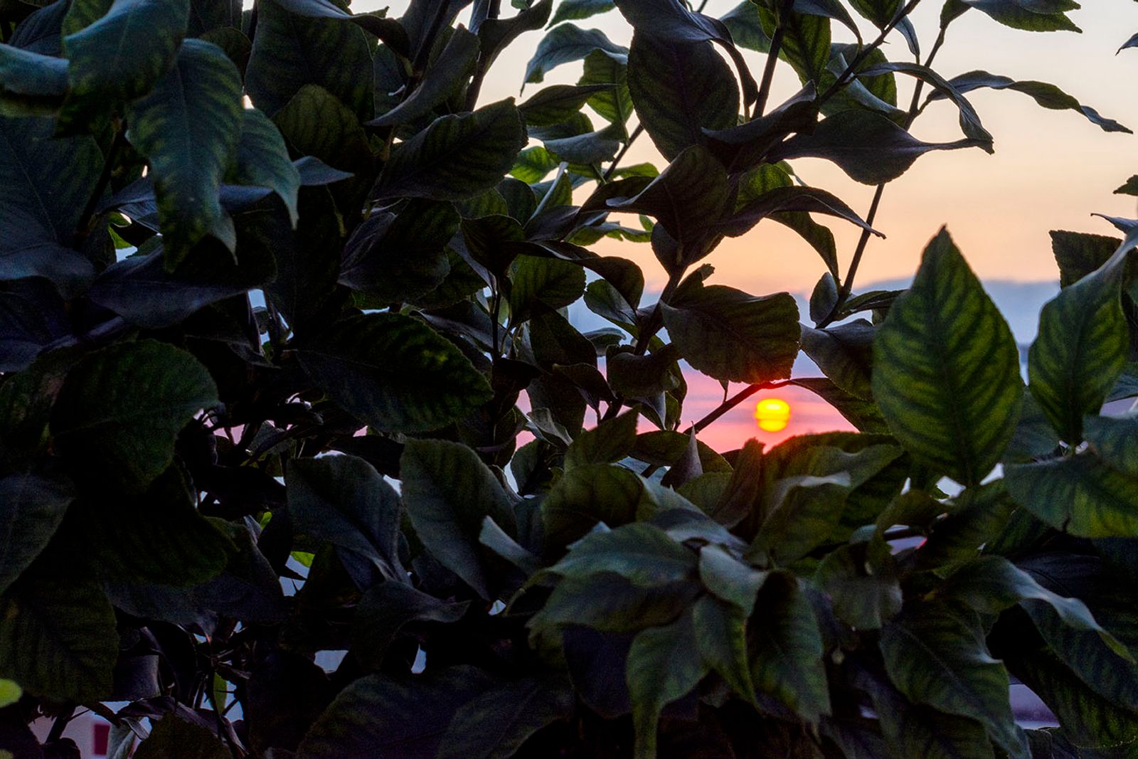 Alba al mare — fotografia 6 di Francesco Loliva