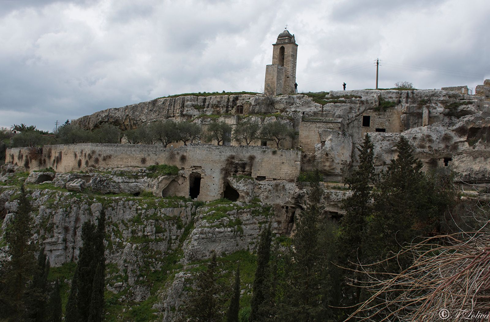 GRAVINA IN PUGLIA — fotografia 6 di Francesco Loliva