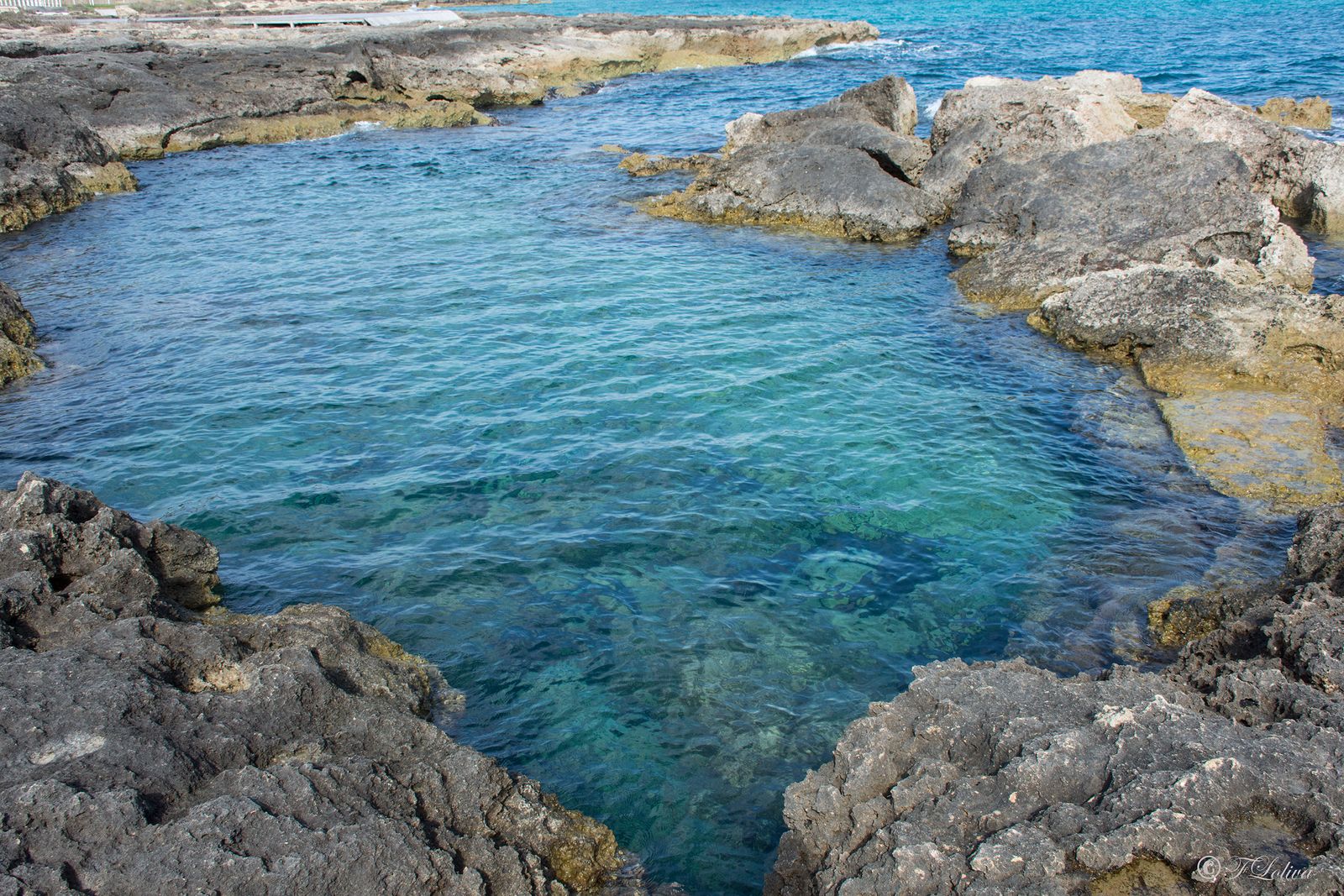 L'ACQUA CRISTALLINA