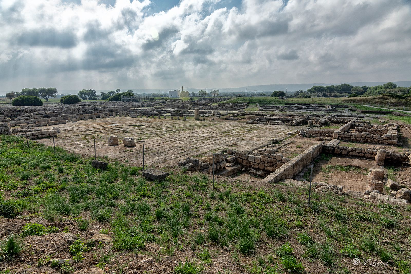 PARCO ARCHEOLOGICO DI EGNAZIA — fotografia 3 di Francesco Loliva