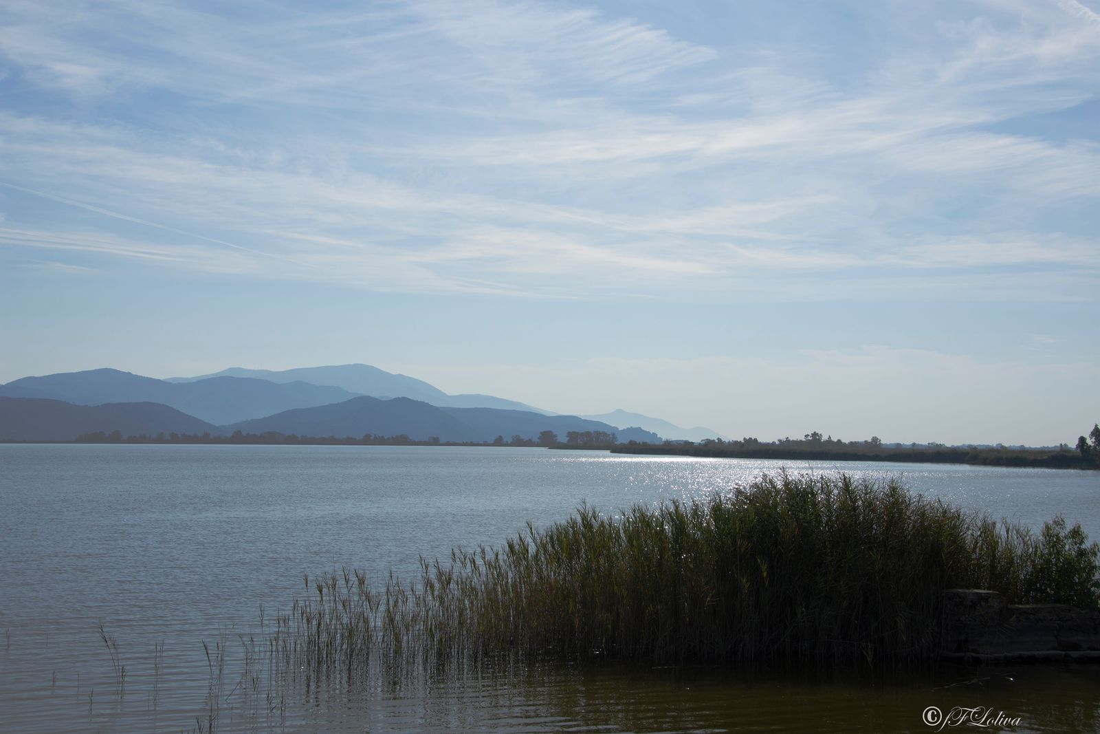 LAGO DI MASSACIUCCOLI — fotografia 4 di Francesco Loliva