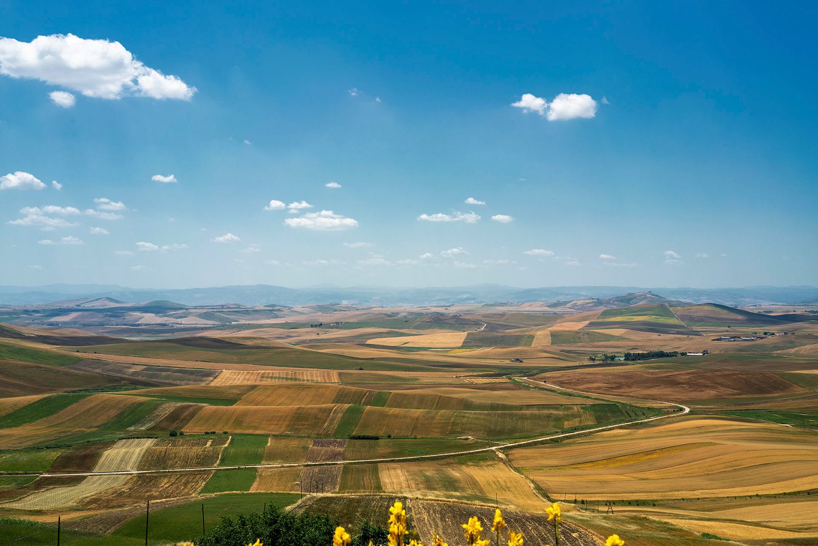 ALTA MURGIA#1