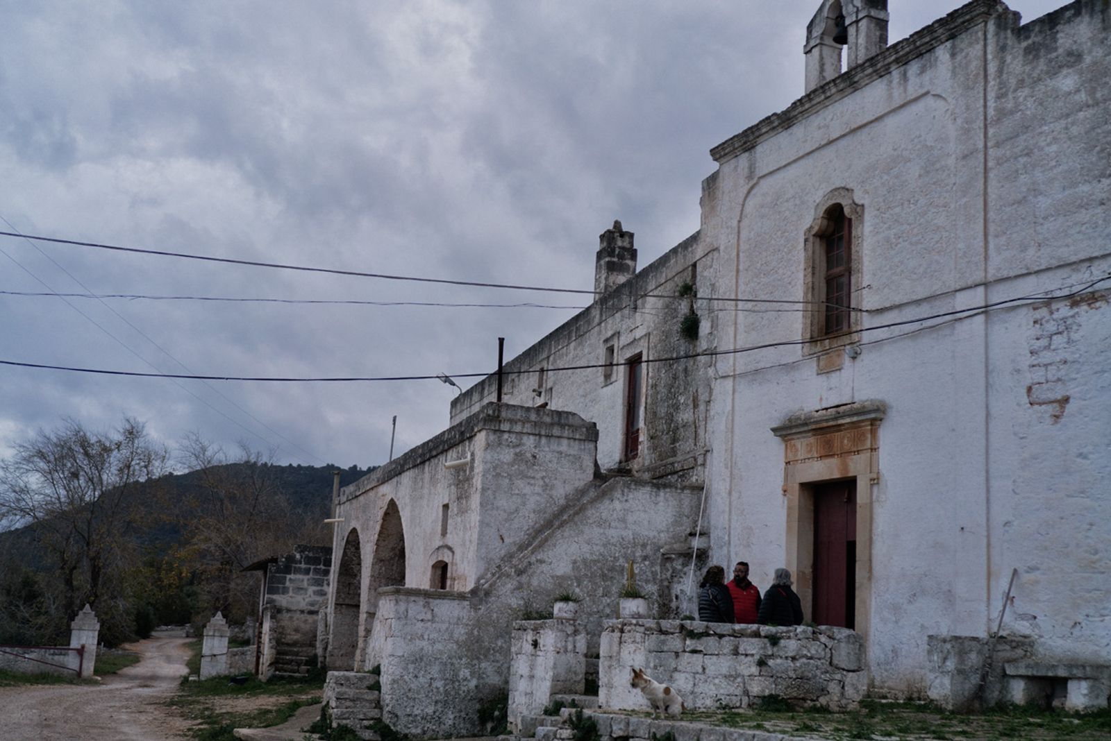 UNA VECCHIA MASSERIA PUGLIESE — fotografia 3 di Francesco Loliva