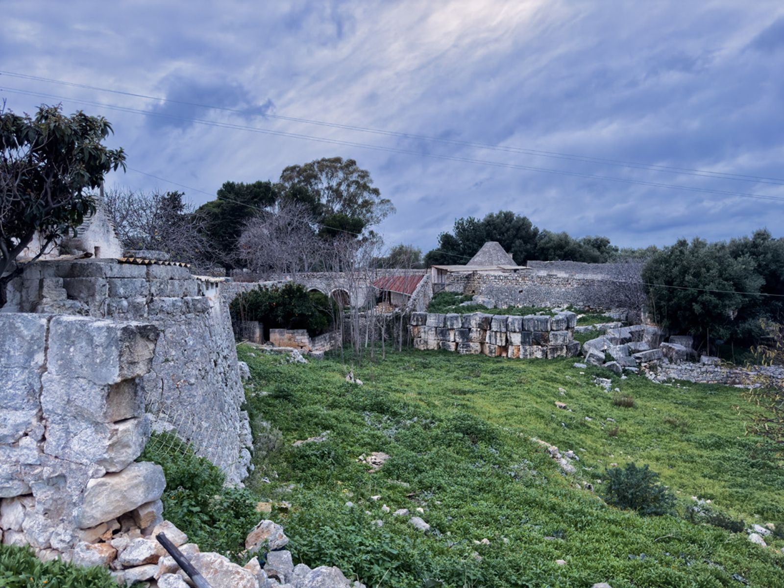 UNA VECCHIA MASSERIA PUGLIESE — fotografia 13 di Francesco Loliva