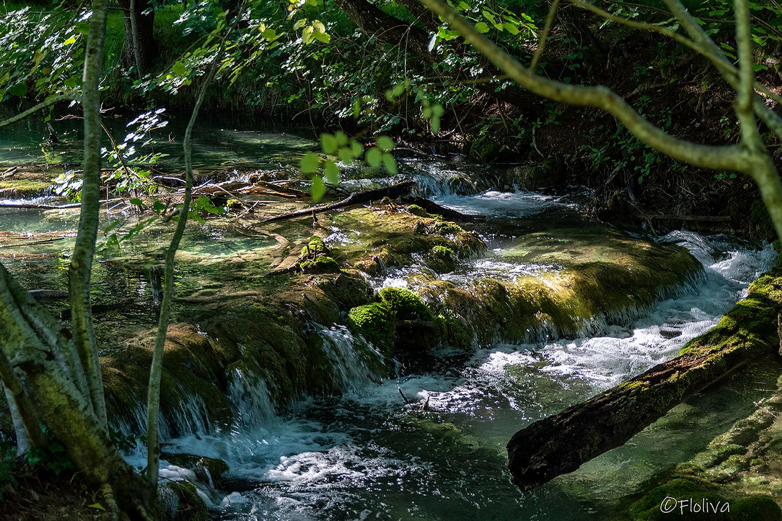 CROAZIA -DISTRETTO DEI LAGHI — fotografia 3 di Francesco Loliva