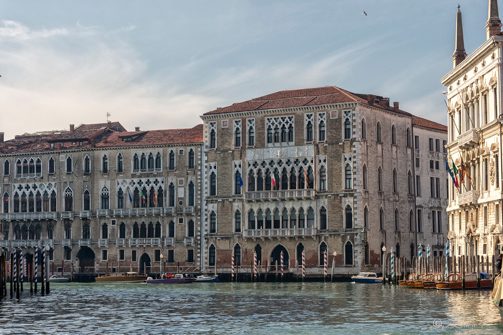 VENEZIA 2019 — fotografia 21 di Francesco Loliva