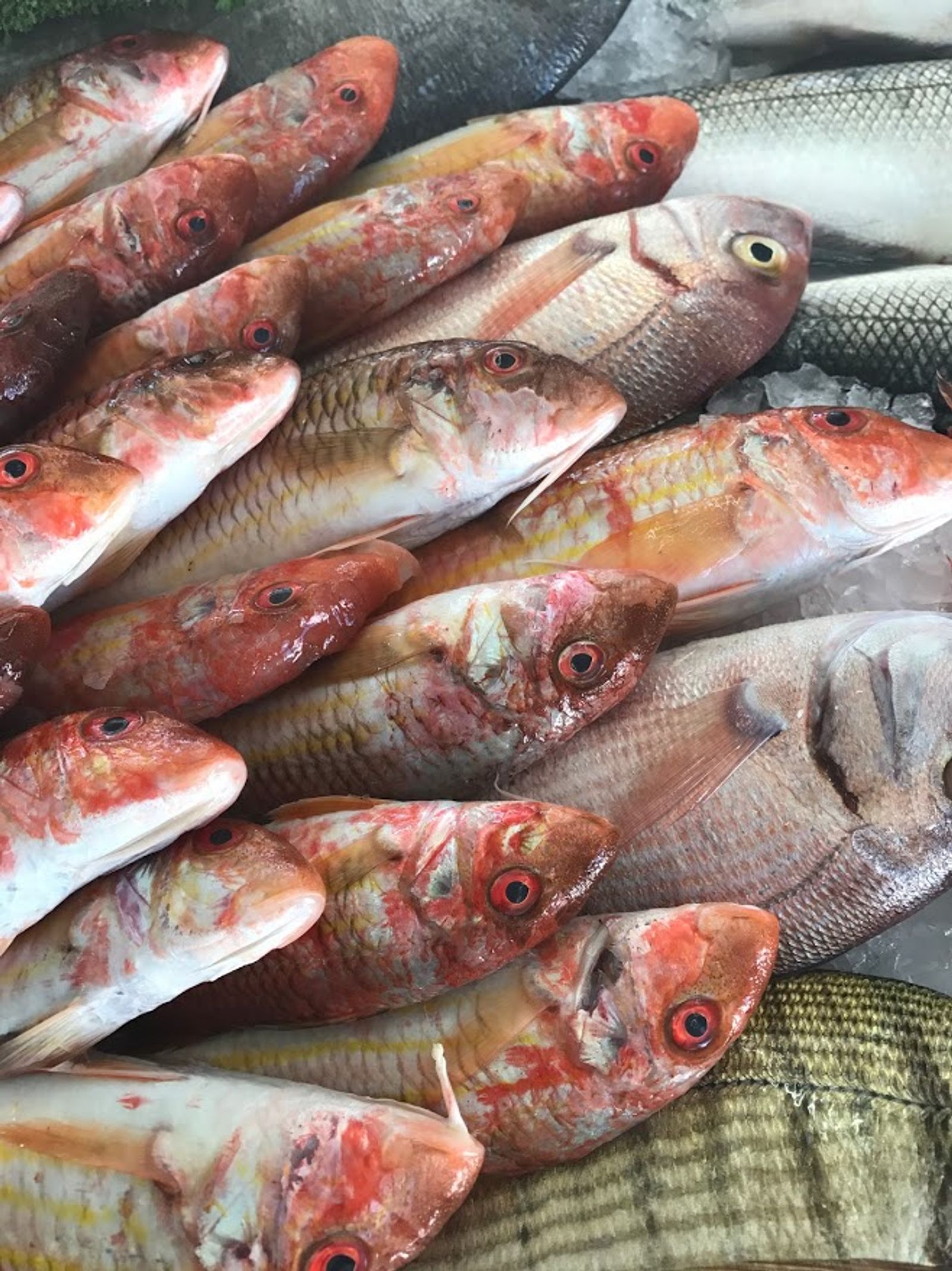 Il pescato