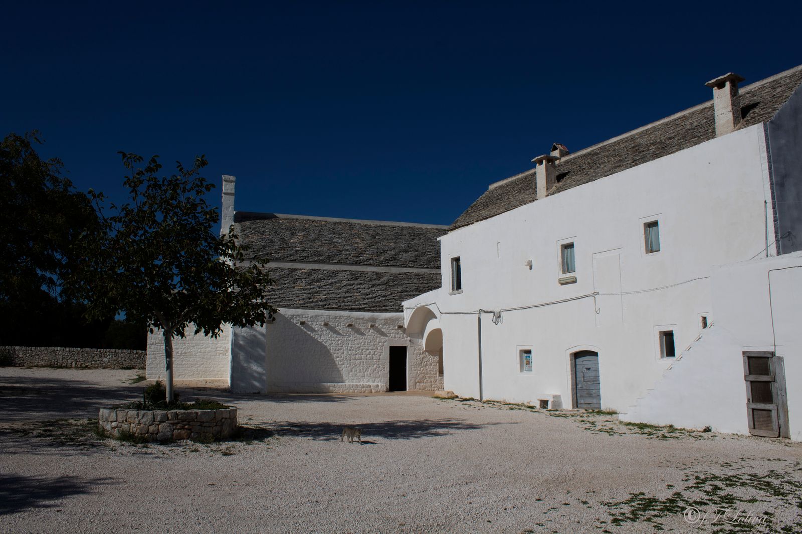 Prospetto laterale della chiesa con archi di collegamento alla masseria annessa