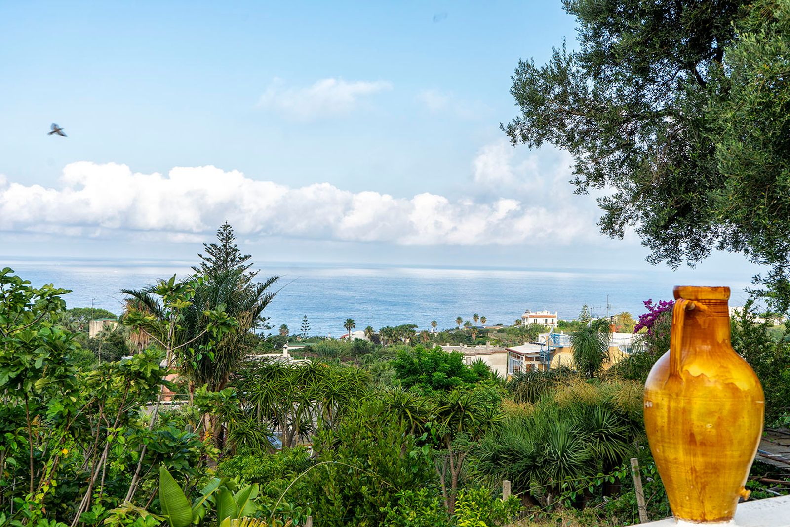 GIARDINI RAVINO - FORIO D'ISCHIA — fotografia 32 di Francesco Loliva