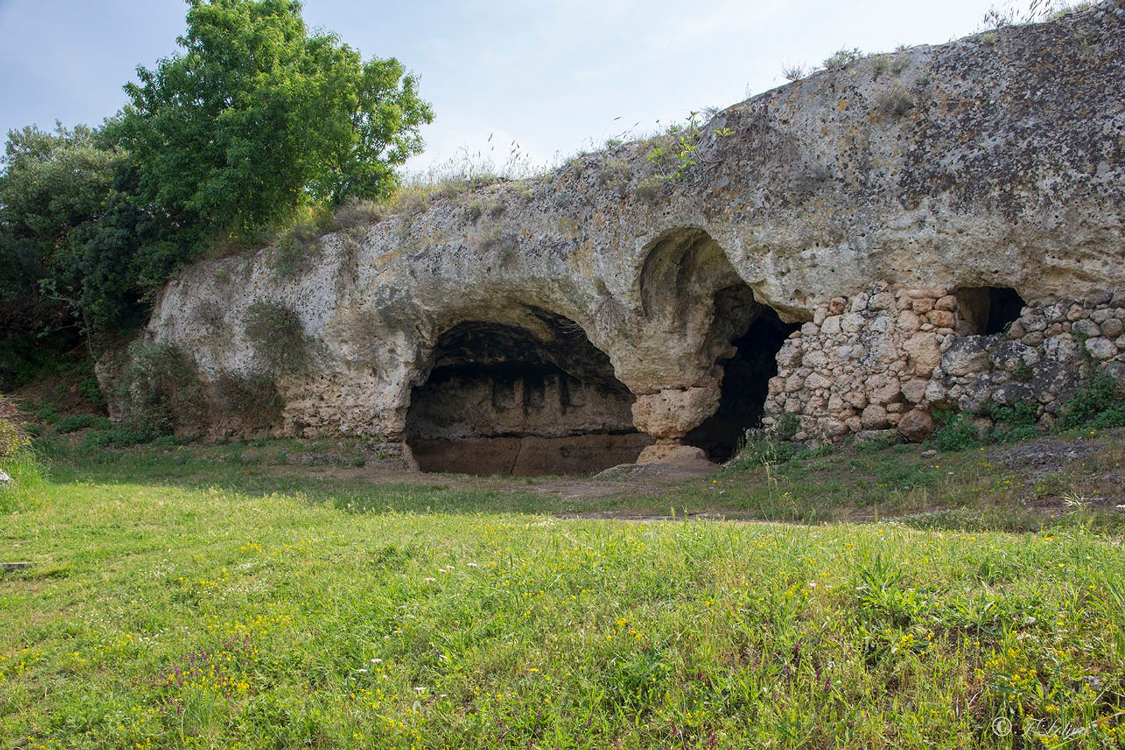 LAMA D'ANTICO - FASANO — fotografia 17 di Francesco Loliva