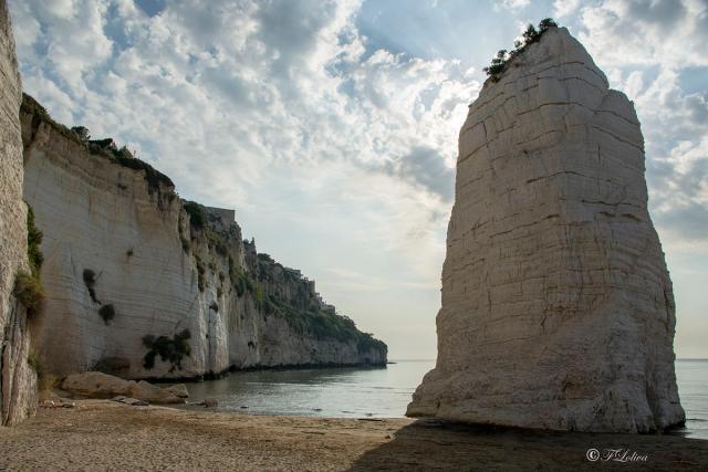 VIESTE - PESCHICI