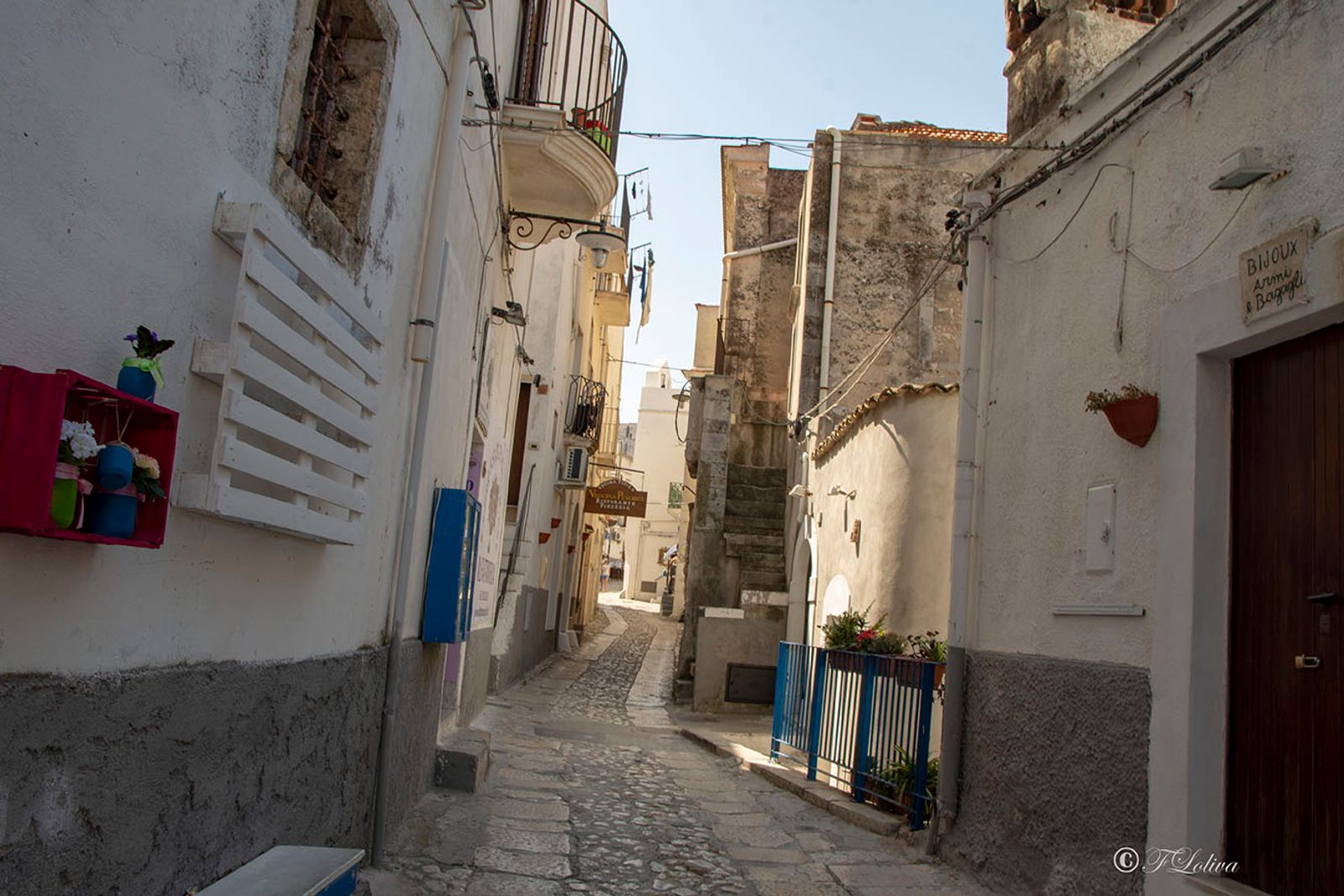 VIESTE - PESCHICI — fotografia 40 di Francesco Loliva