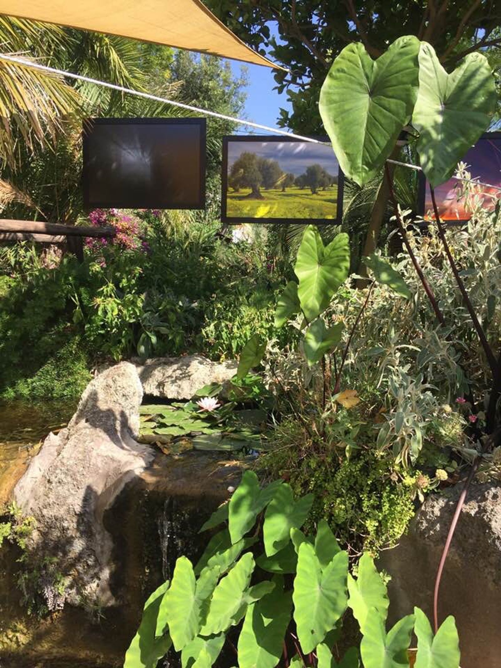 ISCHIA CONTEMPRANY ART 14-24 LUGLIO 2019 — fotografia 3 di Francesco Loliva
