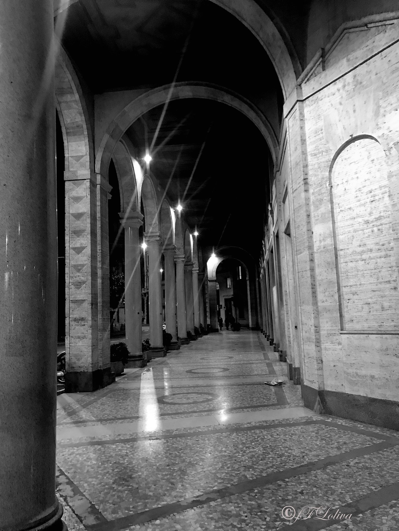NATALE A MILANO TRA LUCI ED OMBRE — fotografia 13 di Francesco Loliva
