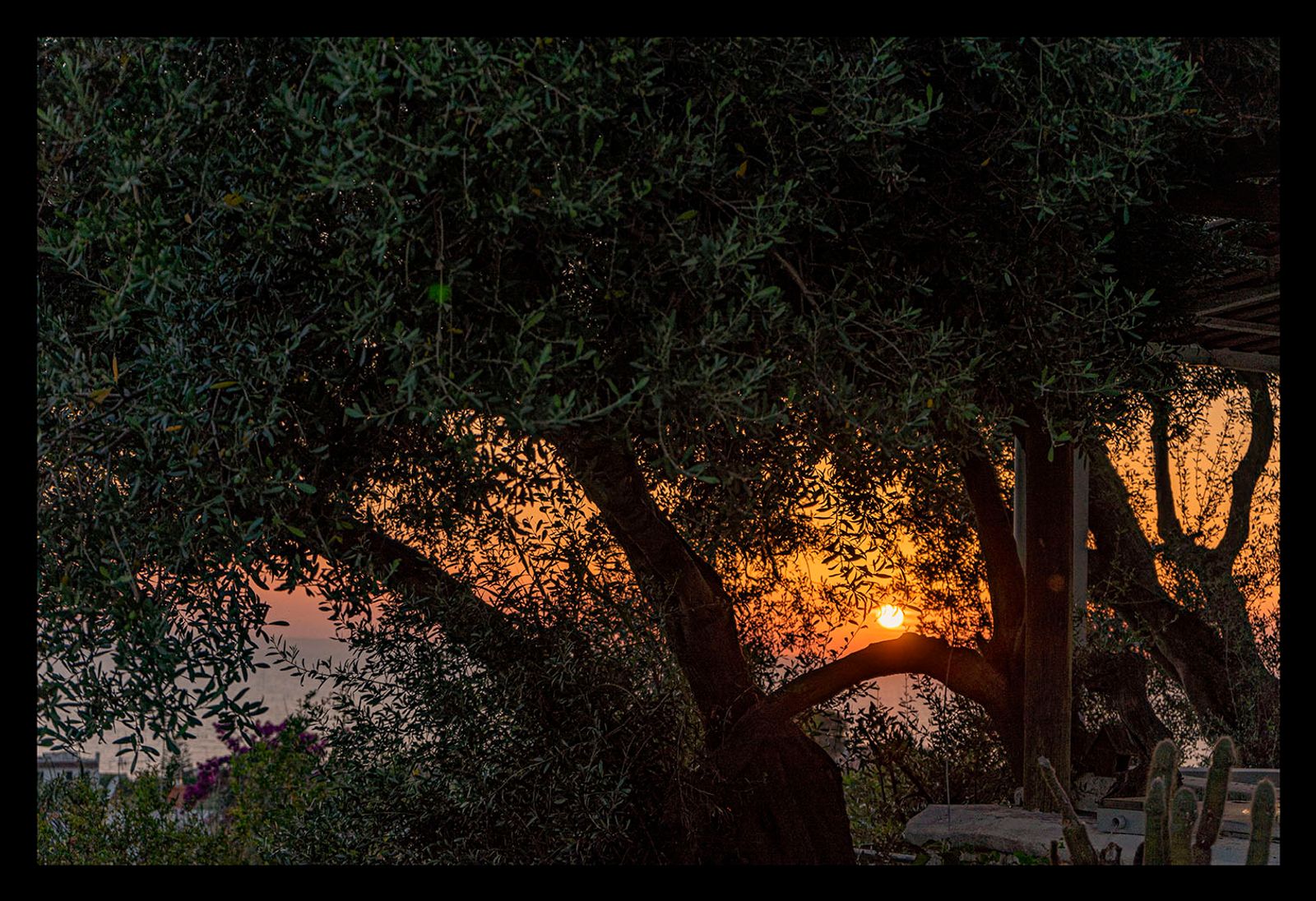 TRAMONTO ISCHITANO#8