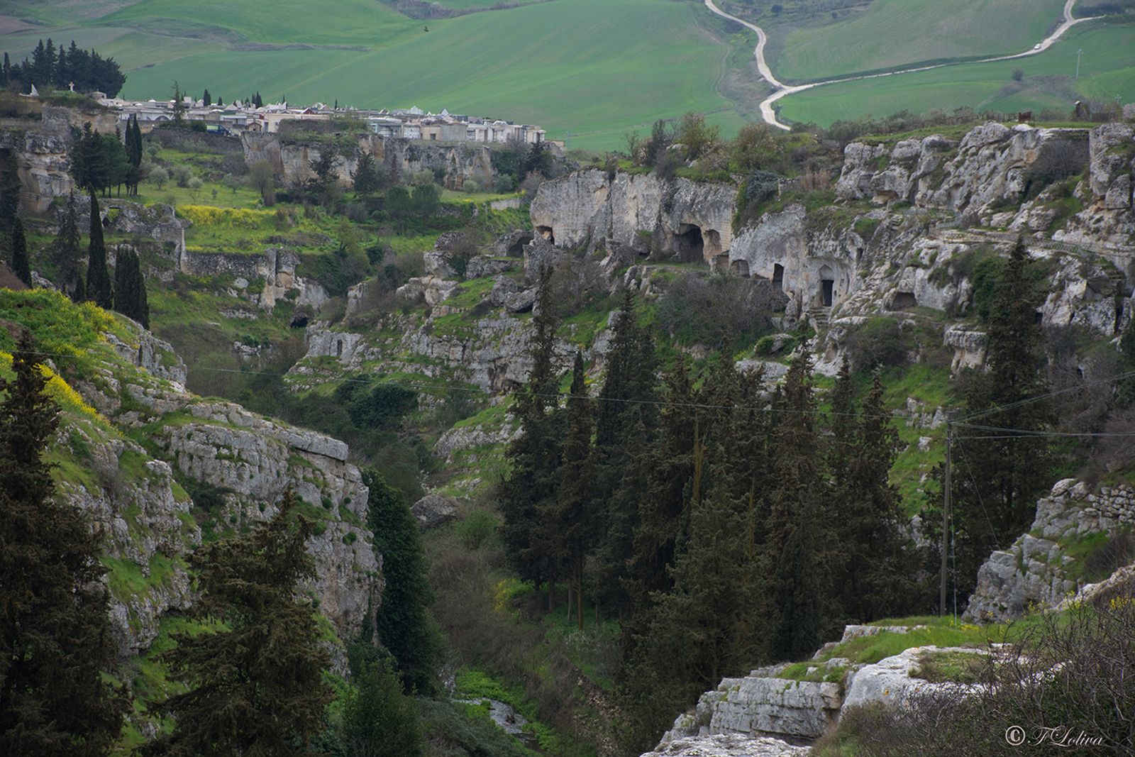 GRAVINA IN PUGLIA — fotografia 16 di Francesco Loliva