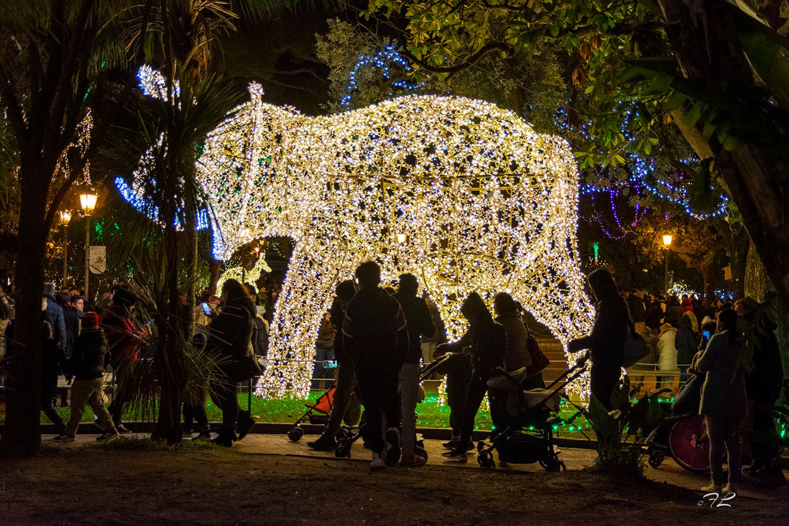 SALERNO IL PORTO E LE LUCI D'ARTISTA — fotografia 10 di Francesco Loliva