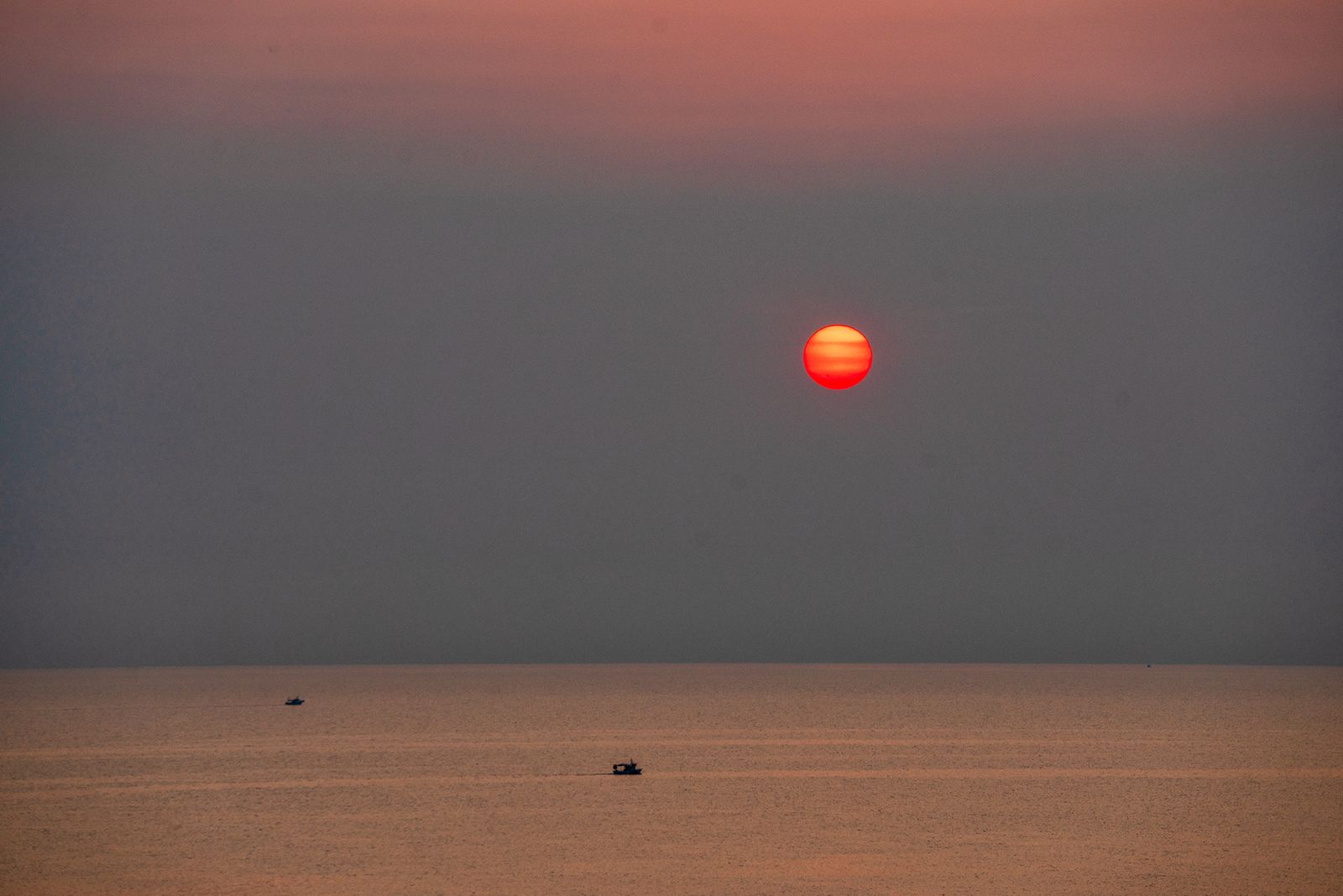 ALBA SICULA #5