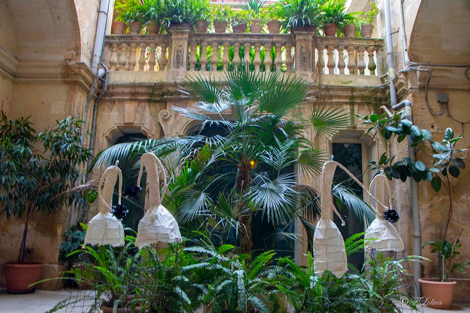 LECCE - CORTILI APERTI — fotografia 13 di Francesco Loliva
